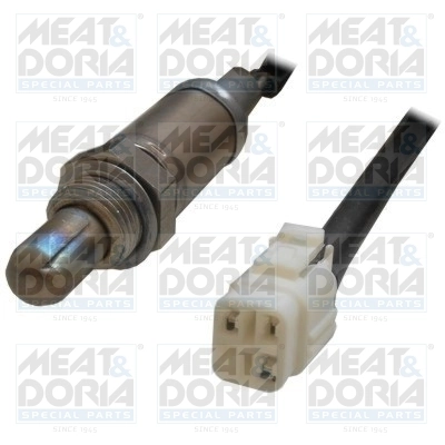 Oxygen Sensor